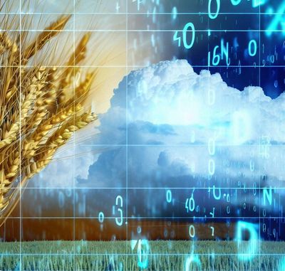 Wheat and storm clouds overlaid with forecast data